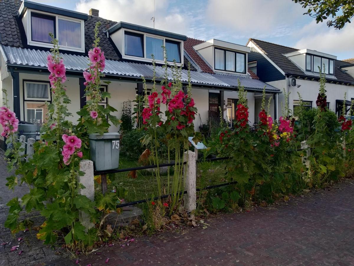 B&B Txl De Cocksdorp  Eksteriør bilde